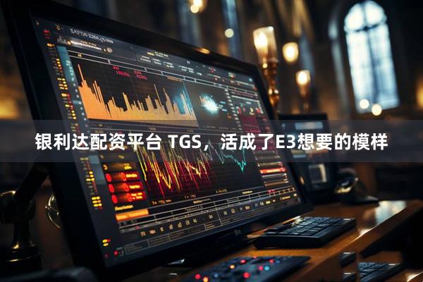 银利达配资平台 TGS，活成了E3想要的模样