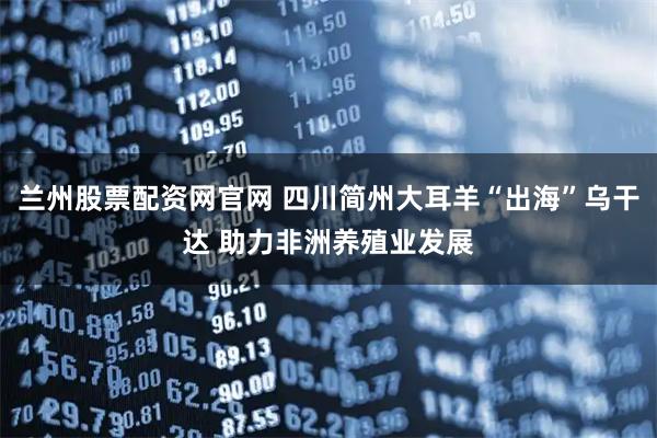 兰州股票配资网官网 四川简州大耳羊“出海”乌干达 助力非洲养殖业发展