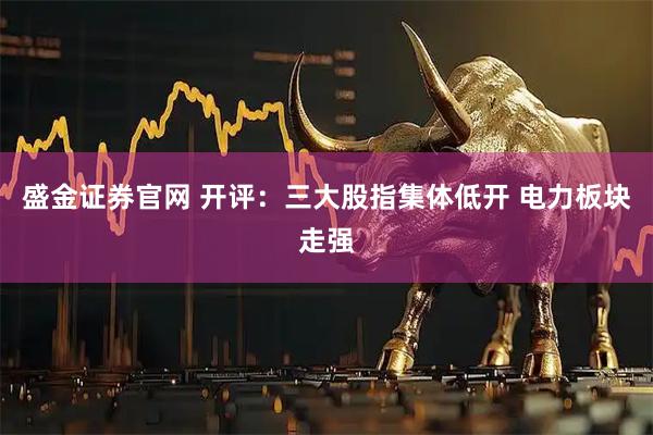 盛金证券官网 开评：三大股指集体低开 电力板块走强