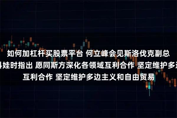 如何加杠杆买股票平台 何立峰会见斯洛伐克副总理兼经济部长萨科娃时指出 愿同斯方深化各领域互利合作 坚定维护多边主义和自由贸易